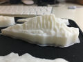 Champion 3D 3D printing photo