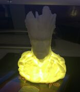 IMG_20170217_205829.jpg