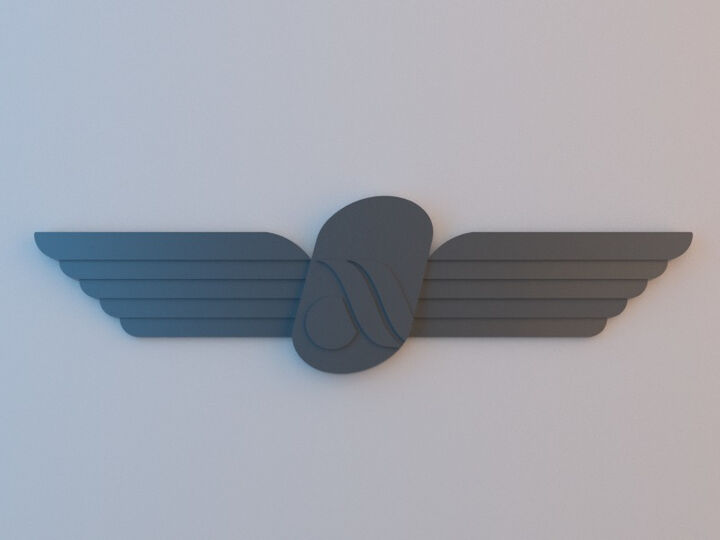 Pilot Wings - Air Berlin