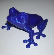 Frog (2).JPG