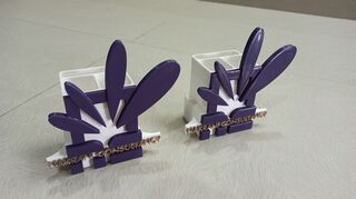 IMG_20201212_120420.jpg