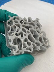 bone3.jpg