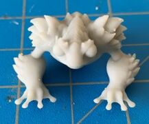 frog2.JPG