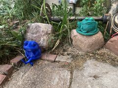 9C021FA0-3A28-4870-AB67-13EAAA494EBB.jpeg