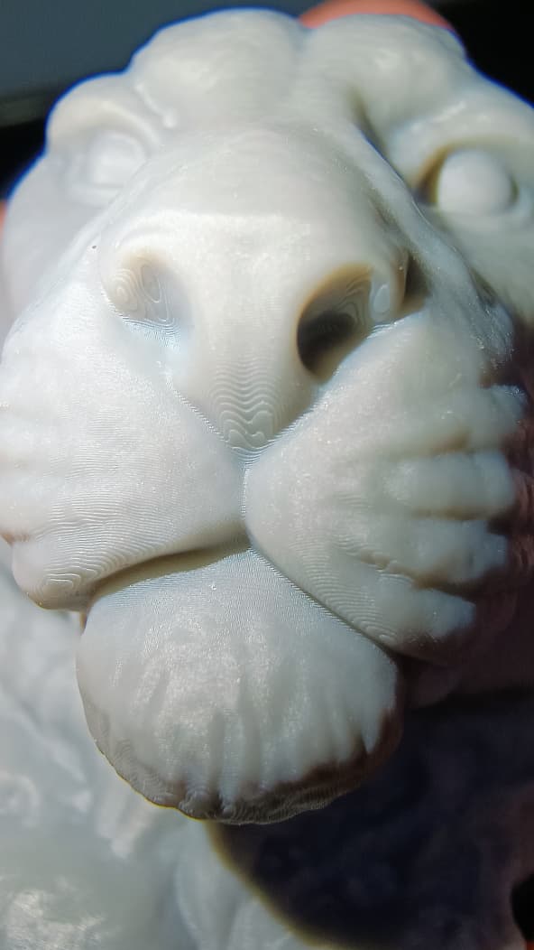 WhatsApp Image 2025-12-02 at 23.30.48 (1).jpeg