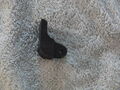 Review image #5906930