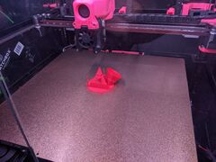 PXL_20220205_120638656.jpg