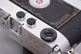 DSC07780.JPG