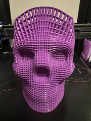 IMG_2867.jpeg