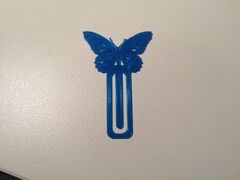 IMG_7899.JPG