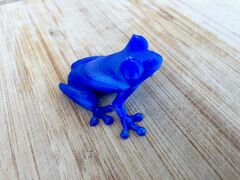IMG_8087.jpeg