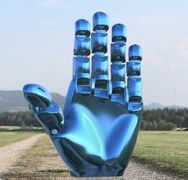 hand.JPG