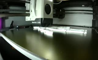 Skeleton.mp4