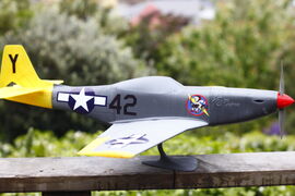 _MG_8213.JPG