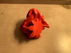 IMG_8548.jpg