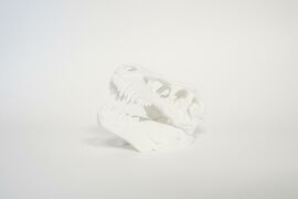 cacf66dc-6acb-4d43-84f2-ae2c5b252ea3_dinoskull.jpg