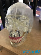 stand Biotech Dental 4.jpg