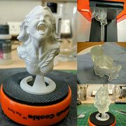 Bust Collage.jpg