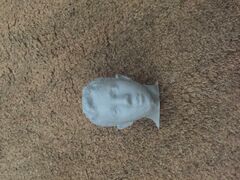 79ba6dbe-626b-4ad6-9083-c8dc7dd36c73_IMG_1746.jpg