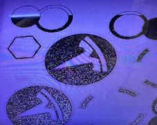 SLS inside printer.jpeg