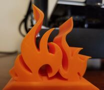 Flame logo pic 2.jpg