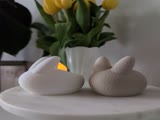PXL_20250410_124405557.MP.mp4