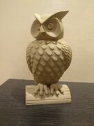 owl.jpg