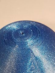 20230919_113224.jpg
