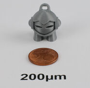 200µm.jpg