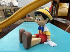 IMG_5318.jpeg
