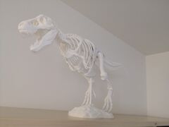 IMG_20200603_102637.jpg
