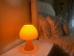 IMG_2220.jpg