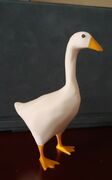 Goose.jpg