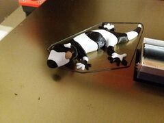 20190528_032942.jpg