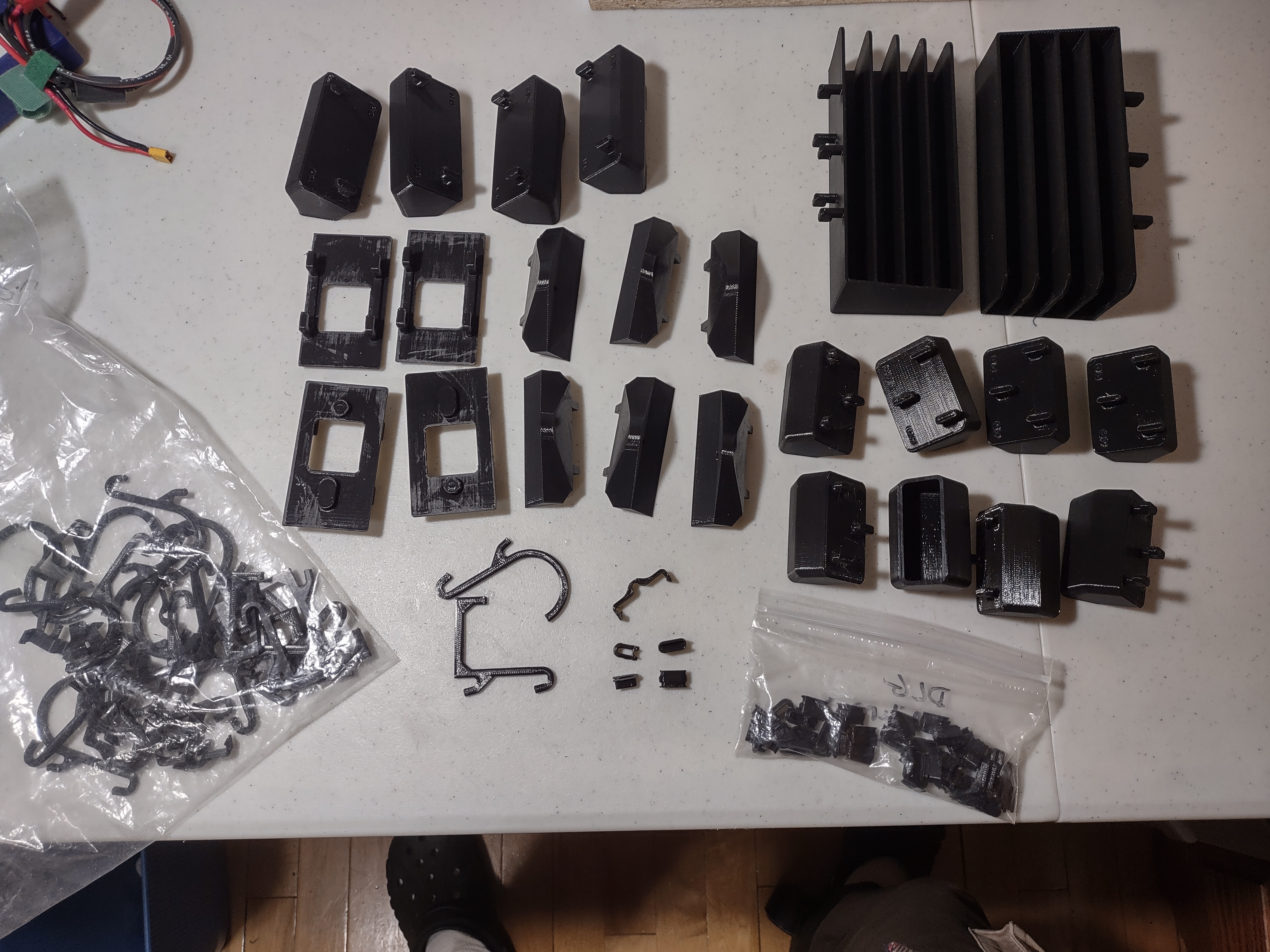 Australopitek 3D printing photo