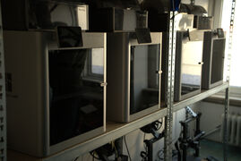 R1C08606.jpg