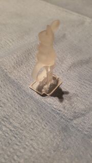 20220508_184519.jpg