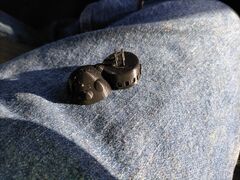 IMG_20210520_080635.jpg