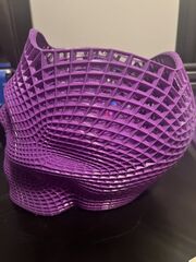 IMG_2868.jpeg