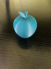 IMG_0411.JPG