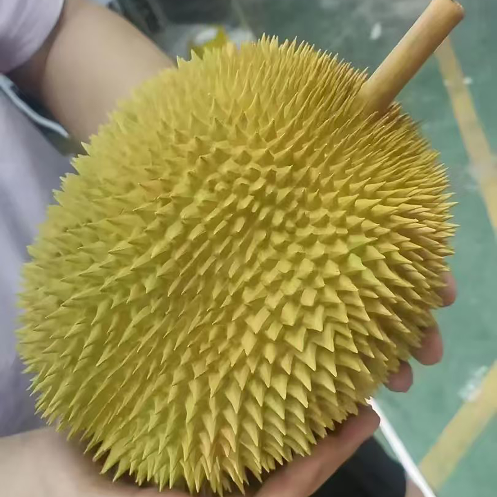 微信图片_20260511094450_1105_155.jpg
