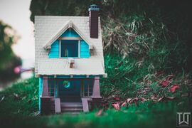 IMG-20180626-WA0016.jpg