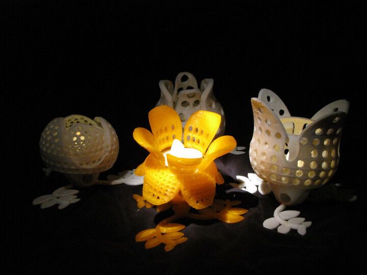 the noon flower - a fourth object of " rotating flowers - a small lights collection "