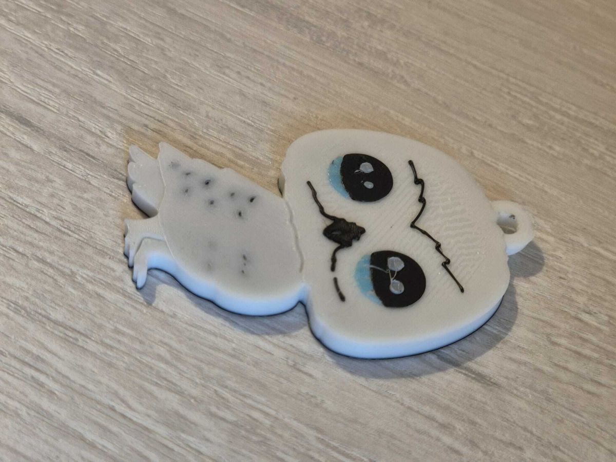 WhatsApp Image 2026-01-23 at 16.40.41.jpeg