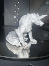 IMG_5658.JPEG