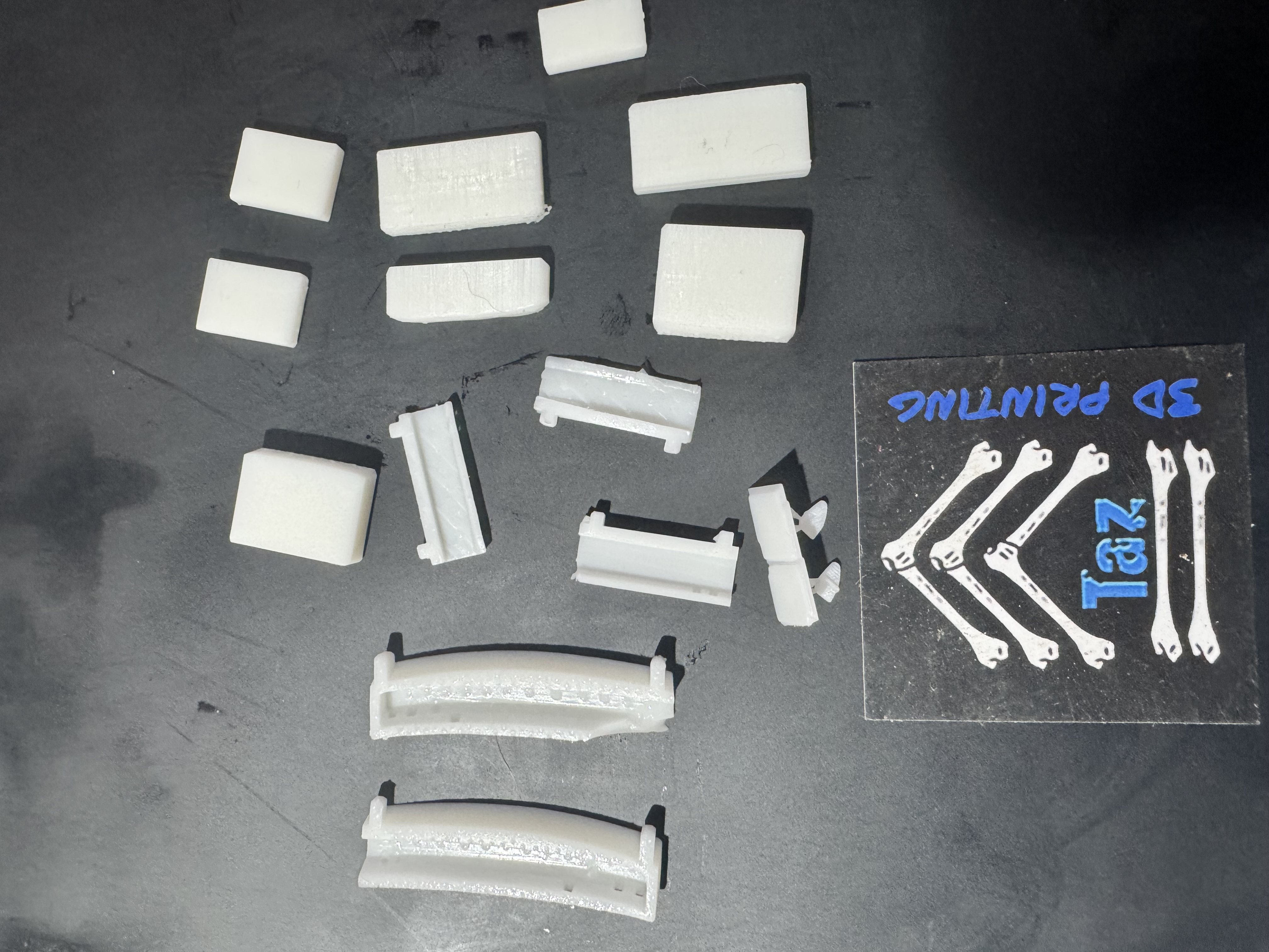 Taz's 3D Printing 3D printing photo