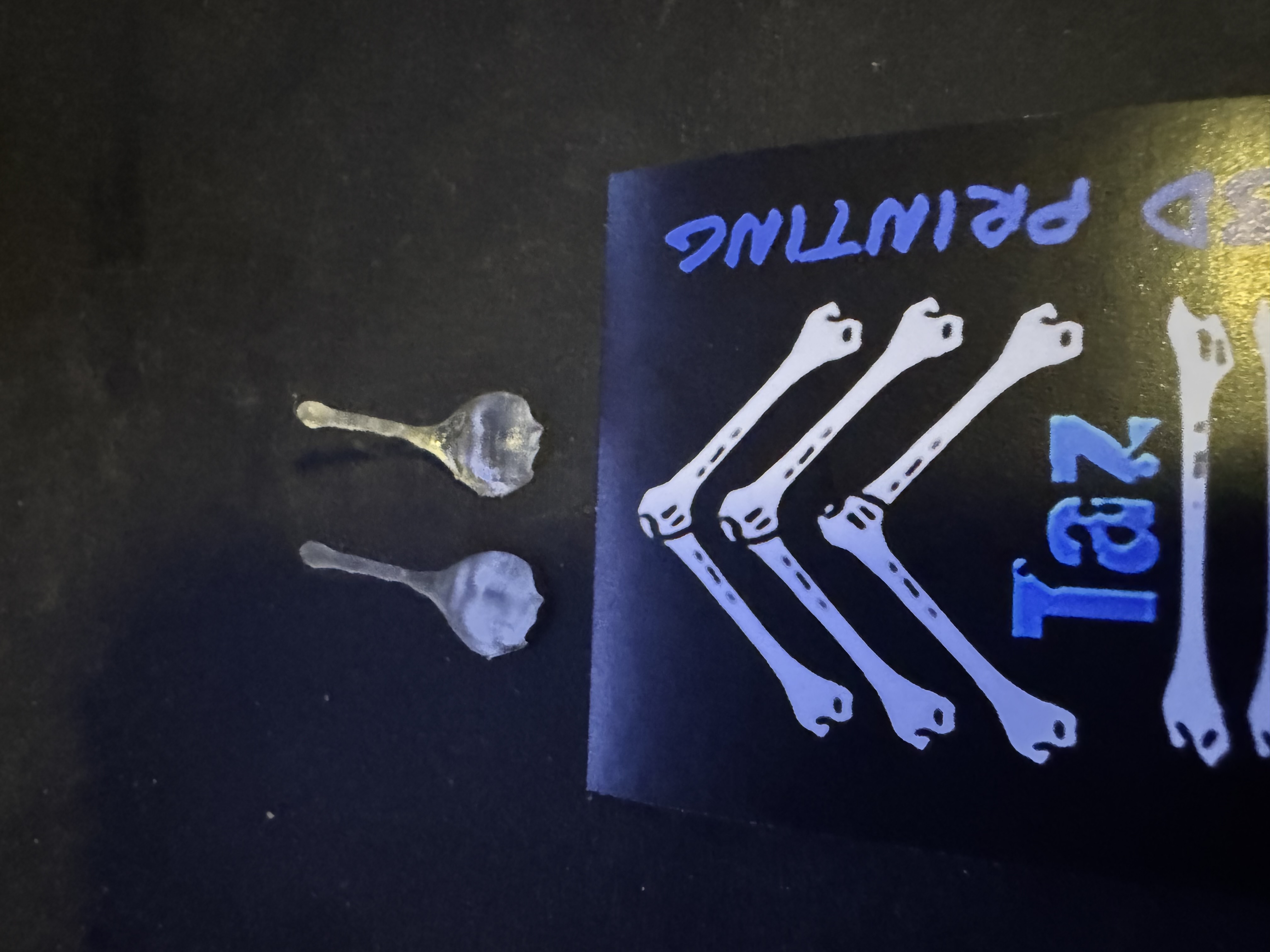 Taz's 3D Printing 3D printing photo