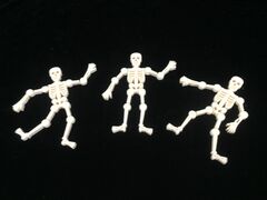 IMG_0769.jpg