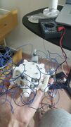 12238027_569128039928683_4744842176348445495_o.jpg