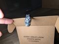 Review image #6328299